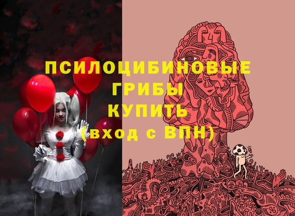 дживик Вяземский