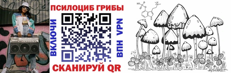 продажа наркотиков  Зуевка  Псилоцибиновые грибы ЛСД 
